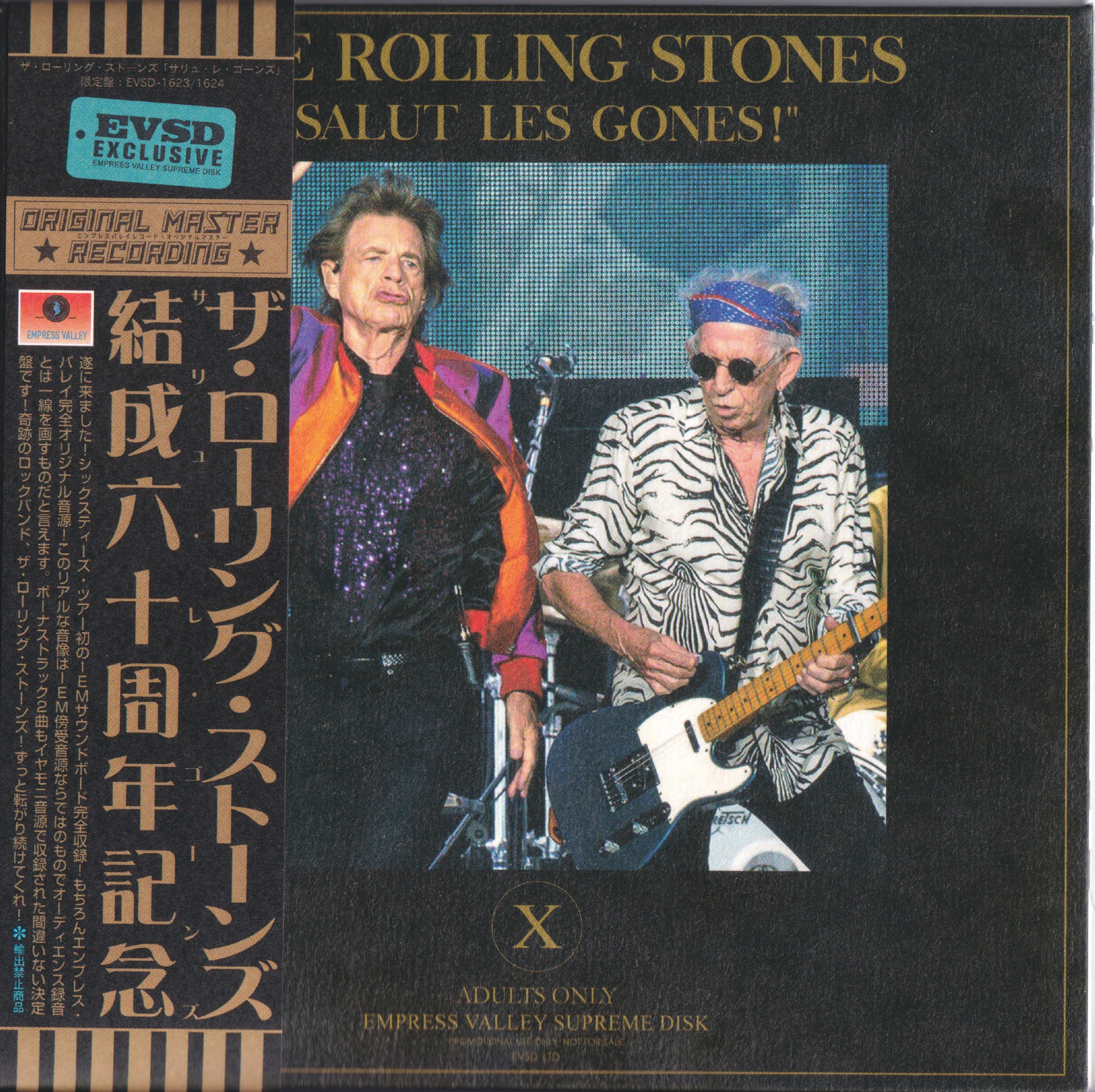 RollingStones2022-07-19GroupamaStadiumDecinesCharpieuFrance (2).jpg